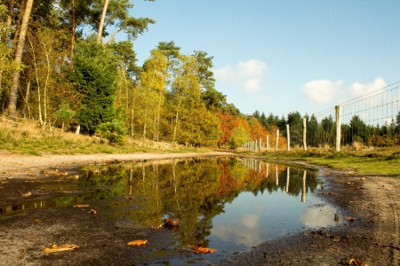 Bossen tussen Mierlo en Geldrop
